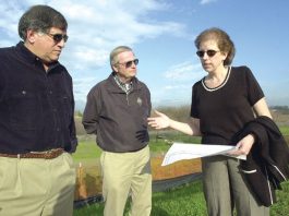 District saves a mighty oak