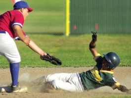 Fresh Choice Victory Roar