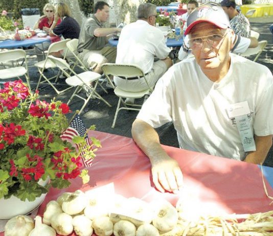 Doesn’t miss a festival