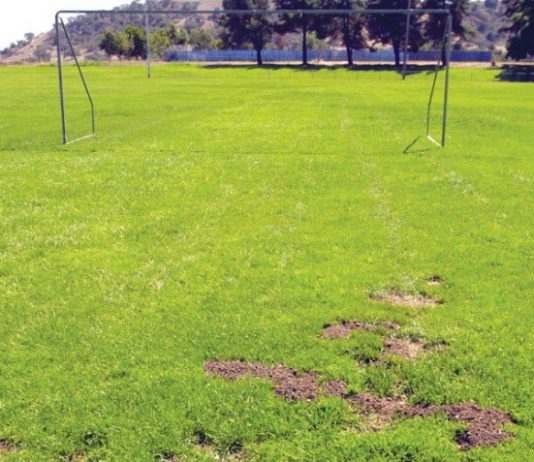 Unsafe fields at Gavilan College