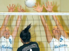 Mirror image meltdown