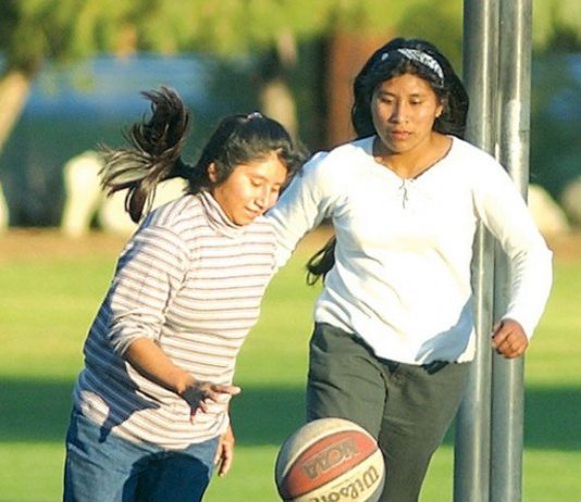 Playground hoops