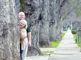 Rooting for more tree-lined streets