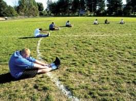 GHS ponders $1 million for turf, track