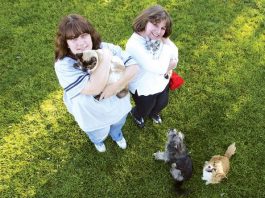 Mystery behind cat deaths