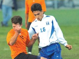 Bigger they are – harder they fall