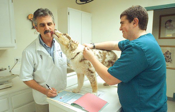 Taking proper care of the animals