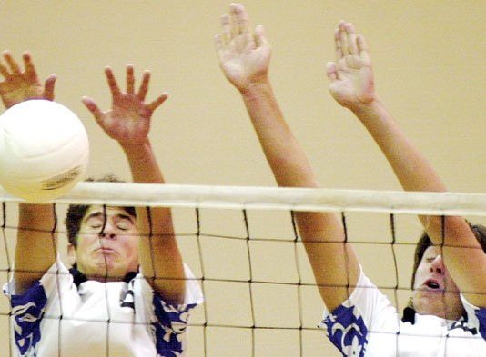Mustang spikers young, but athletic