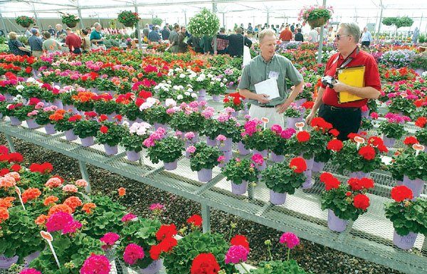 Plenty of flower power