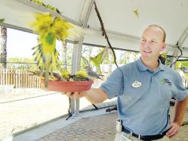 Wild birds at Bonfante