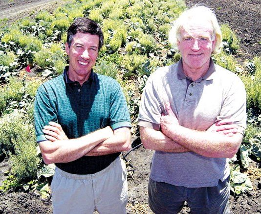 Locals build a better broccoli