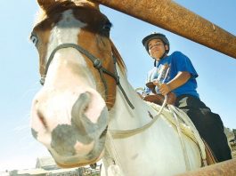 These kids aren’t just horsing around