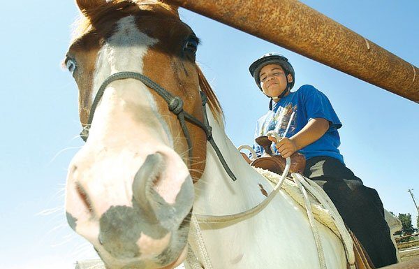 These kids aren’t just horsing around