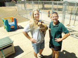New daycare for ‘Fido’