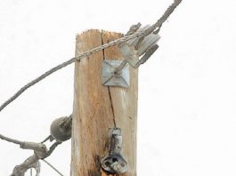 Horrible teen tragedy – three die in stolen vehicle after fiery wreck