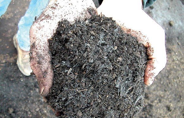 Maintaining your compost pile