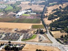 Polish for the ‘jewel’