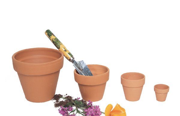 Keeping potted plants comfy and healthy