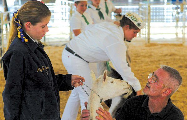 Victory paves way for 4-H fair plan