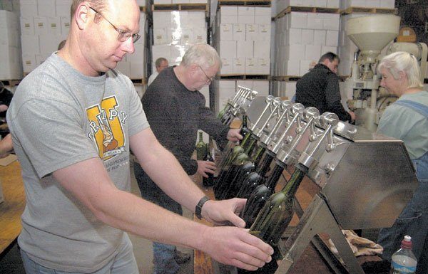The South Valley wine grape harvest is in