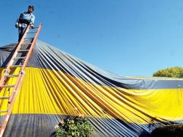 Tenting for termites