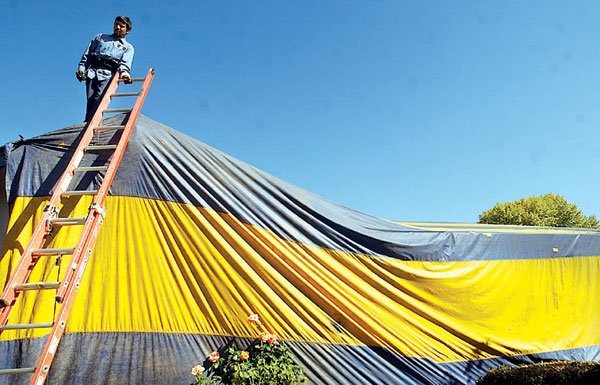 Tenting for termites