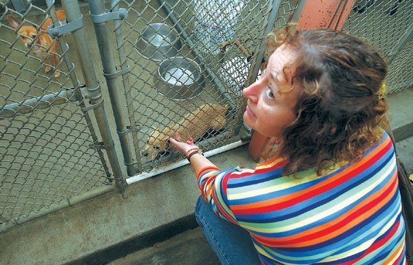 Oh where, oh where do those helpless, unwanted pets go?