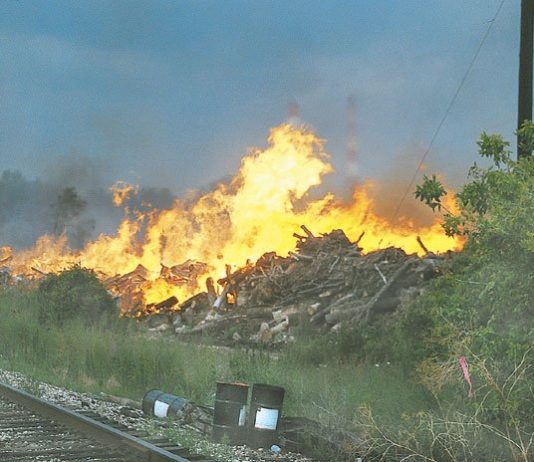 FireScaping: Alternative landscaping techniques for high-risk areas
