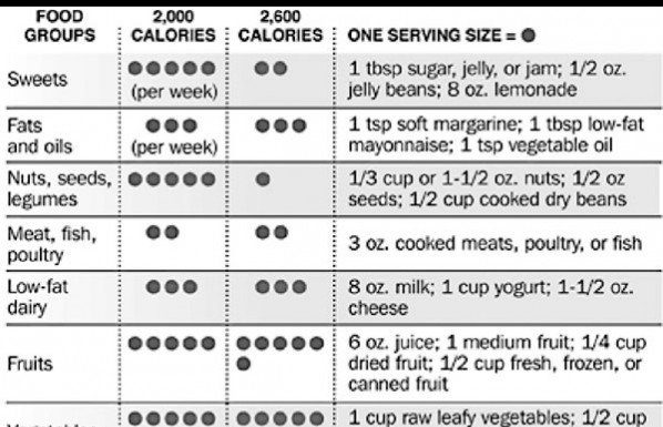 What to eat for lunch