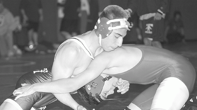 ‘Stangs sweep seeds