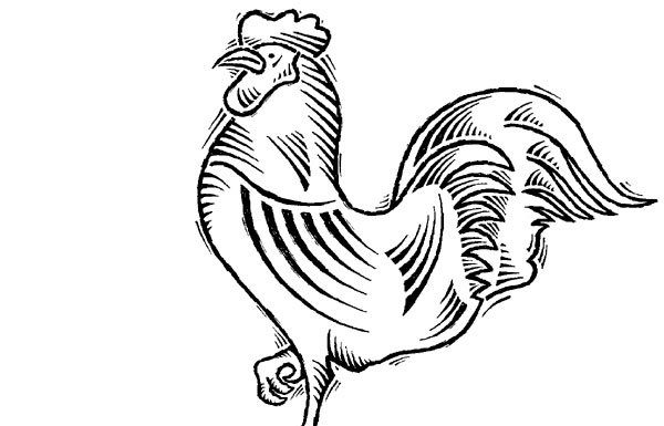 Gung Hay Fat Choy! A happy new year