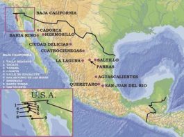 Los vinos de México