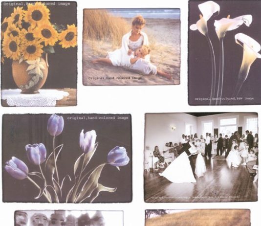 Gilroy artist needs help finding stolen artwork