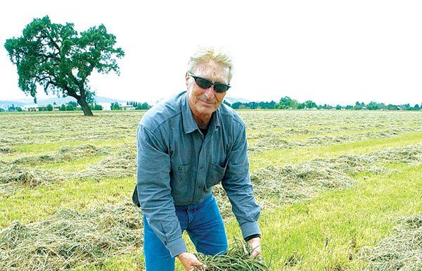 Late spring rain damages hay and strawberry crops