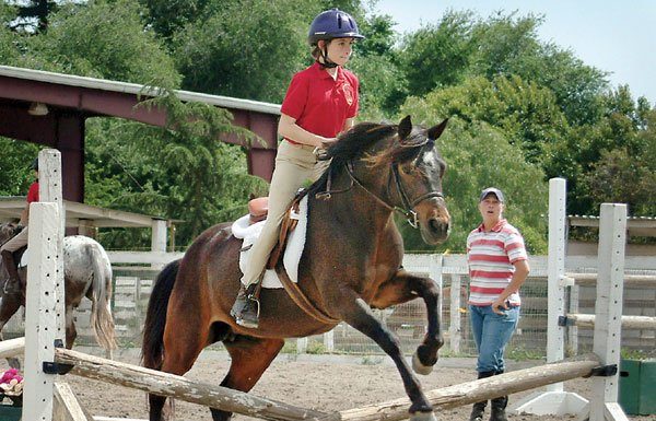 It’s all horse play