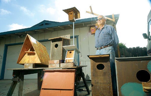For the love of birds