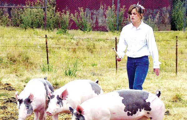 Ag program gets a lift