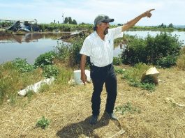 Not all pollution is obvious, but little spills add up