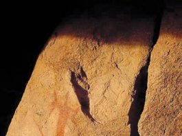 Weekly stargazing tips 6.21.05