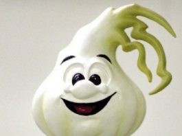 Popular Herbie to greet Garlic Festival guests