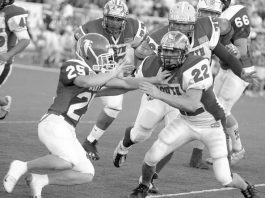 Local products help South to win