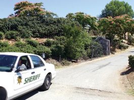 Murder in east foothills