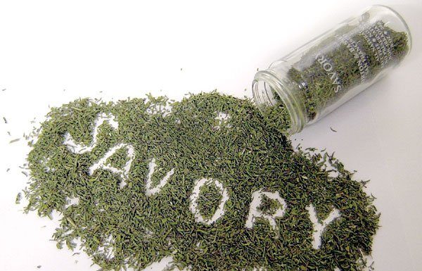 Spice of the month: Savory is more than an adjective, it’s an herb