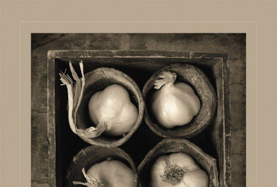 Garlic inspires poster winner