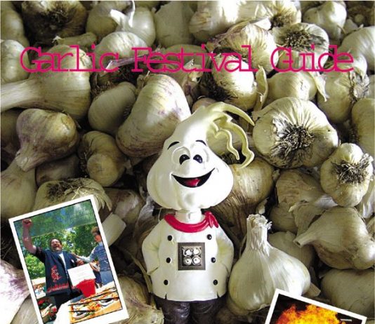 Festival Guide (with a little local flavor)