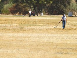 Post-Garlic Festival Turf Blues