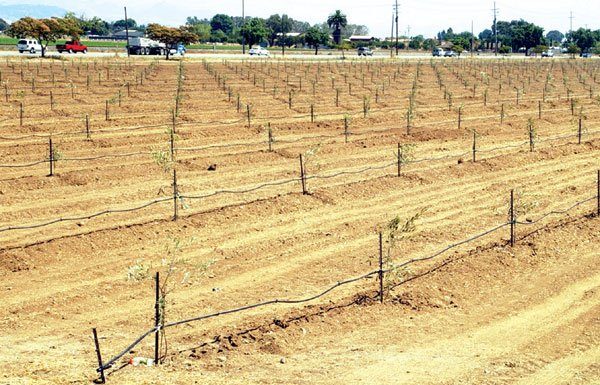 Housing, farm development clears hurdle