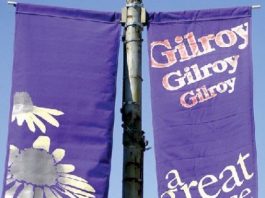 Downtown Banners Go Up