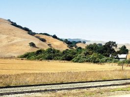 Forgery Claim Blurs Tribe’s Fate