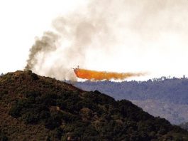 Two teens suspected of arson in El Toro Peak fire